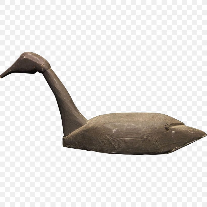 Duck Goose Anatidae Water Bird Cygnini, PNG, 1960x1960px, Duck, Anatidae, Beak, Bird, Cygnini Download Free