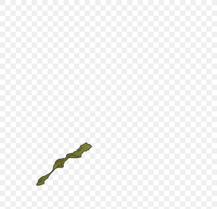 Line Leaf, PNG, 634x789px, Leaf, Grass, Green Download Free