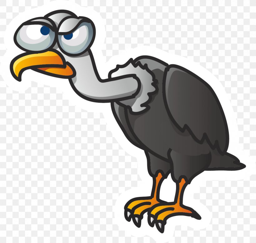 Bird Vulture Cartoon U0e01u0e32u0e23u0e4cu0e15u0e39u0e19u0e0du0e35u0e48u0e1bu0e38u0e48u0e19, PNG, 1169x1112px, Bird, Animation, Avatar, Beak, Cartoon Download Free