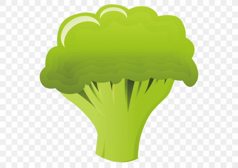 Broccoli Cauliflower Food Illustration, PNG, 842x596px, Broccoli, Cauliflower, Food, Grass, Green Download Free
