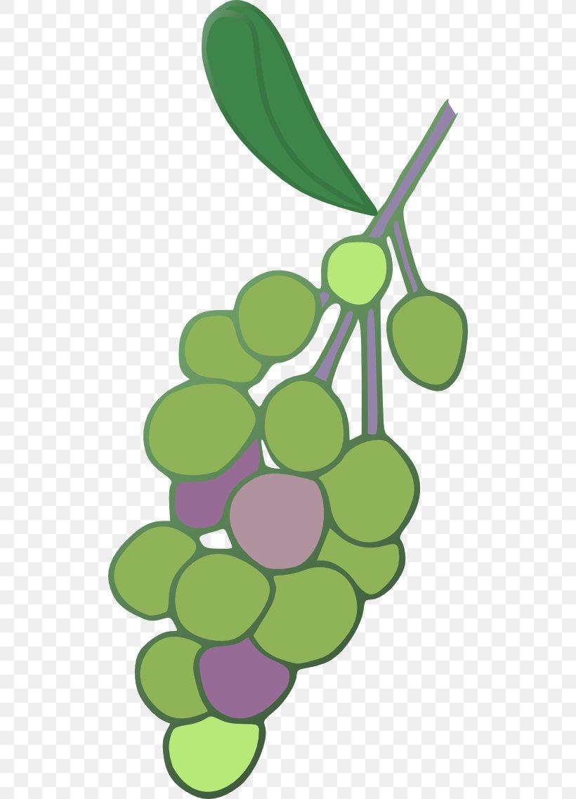 Common Grape Vine Concord Grape Grape Leaves Clip Art, PNG, 512x1137px, Grape, Berry, Common Grape Vine, Concord Grape, Flowering Plant Download Free