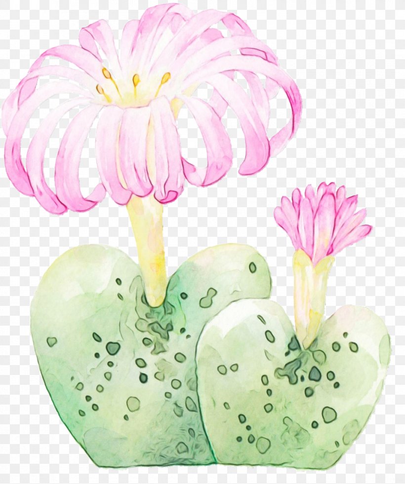 Plant Flower, PNG, 955x1143px, Watercolor, Flower, Paint, Plant, Wet Ink Download Free