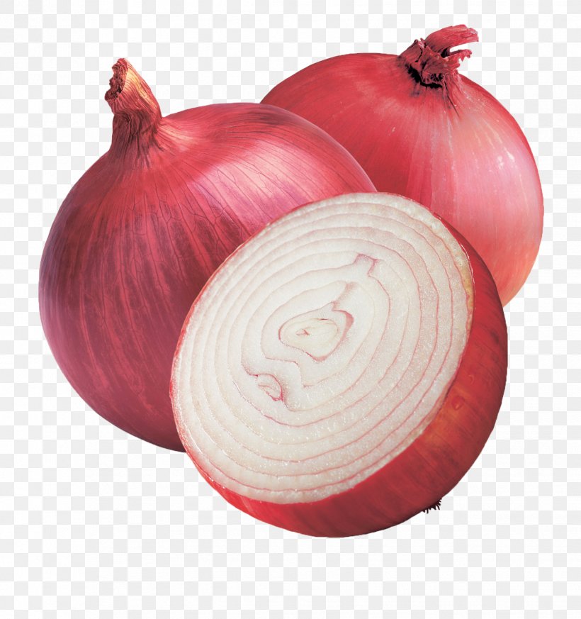Red Onion Vegetable White Onion Food, PNG, 1759x1874px, Onion, Allium Fistulosum, Cashew, Cooking, Food Download Free