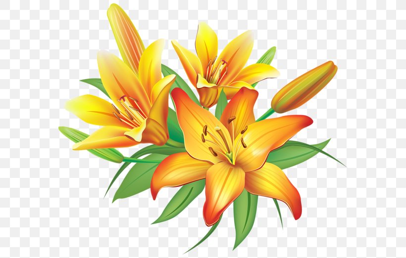 Flower Easter Lily Clip Art, PNG, 600x522px, Flower, Blossom, Color, Cut Flowers, Daylily Download Free