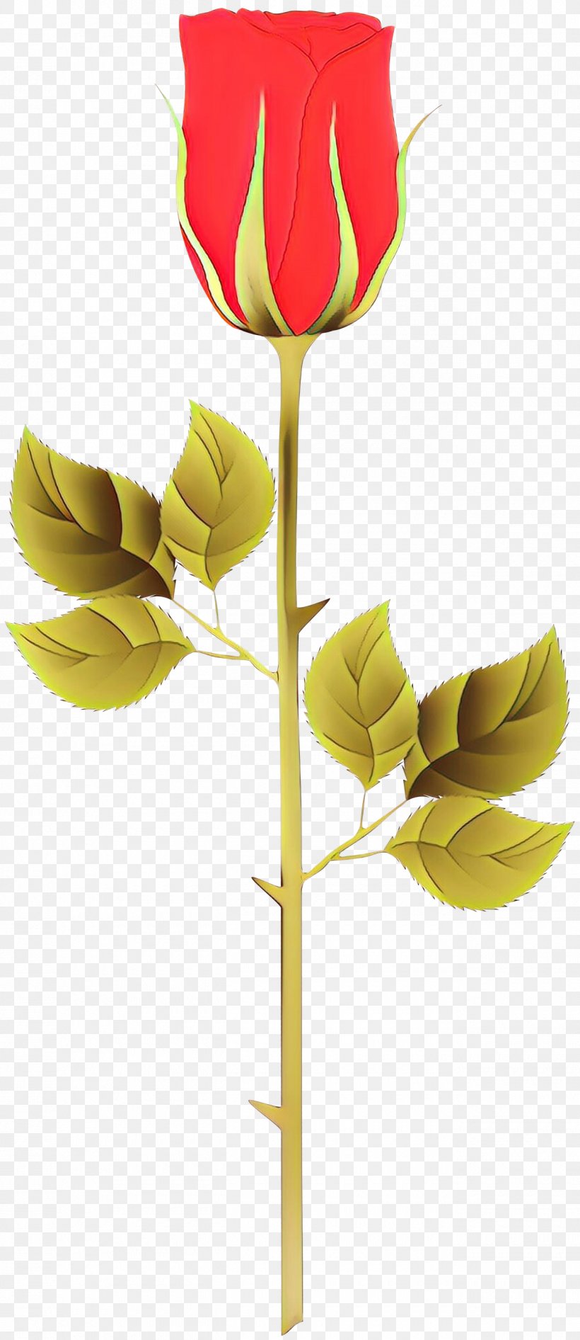 Leaf Flower Yellow Plant Plant Stem, PNG, 1300x3000px, Cartoon, Bud, Flower, Leaf, Pedicel Download Free