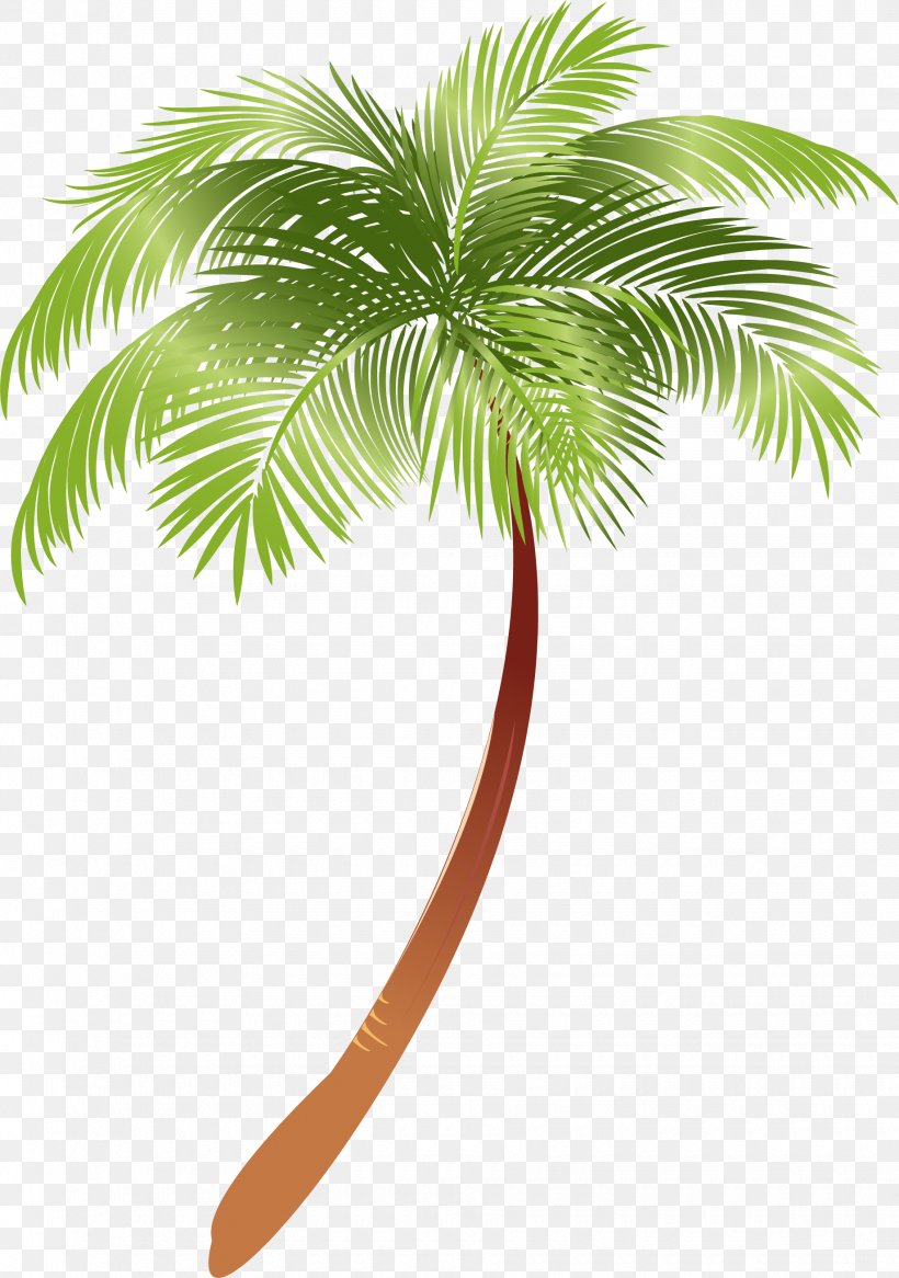 Arecaceae Asian Palmyra Palm Plant Coconut Milk, PNG, 1840x2617px, Arecaceae, Arecales, Asian Palmyra Palm, Borassus, Borassus Flabellifer Download Free