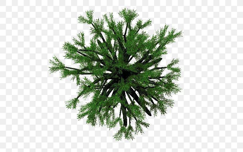 Fir Spruce Christmas Ornament Evergreen False Cypress, PNG, 512x512px, Fir, Branch, Branching, Christmas, Christmas Ornament Download Free