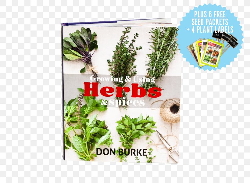 Herbalism Vegetable Plant Tree, PNG, 800x600px, Herb, Basil, Common Lilly Pilly, Don Burke, Flora Download Free