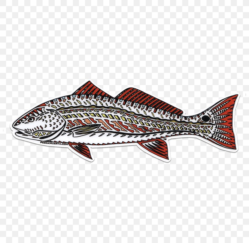 Mackerel, PNG, 800x800px, Mackerel, Fish, Seafood Download Free
