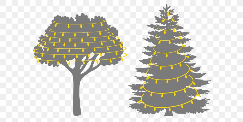 Pine Tree Evergreen Fir Conifers, PNG, 633x414px, Pine, Branch, Christmas Decoration, Christmas Ornament, Christmas Tree Download Free