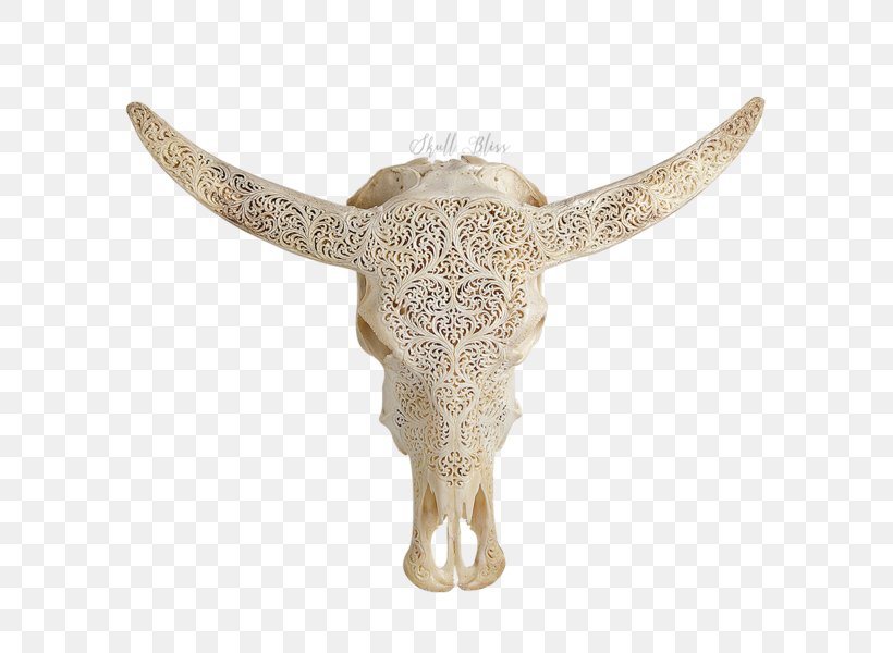 Animal Skulls Cattle XL Horns, PNG, 600x600px, Animal Skulls, American Bison, Animal, Balinese People, Buffalo Download Free