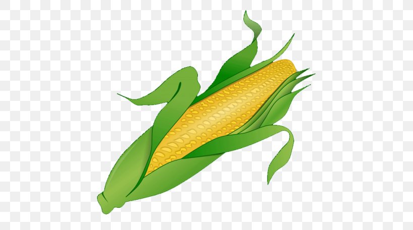 Corn On The Cob Candy Corn Clip Art, PNG, 728x456px, Corn On The Cob, Candy Corn, Commodity, Corn, Corncob Download Free
