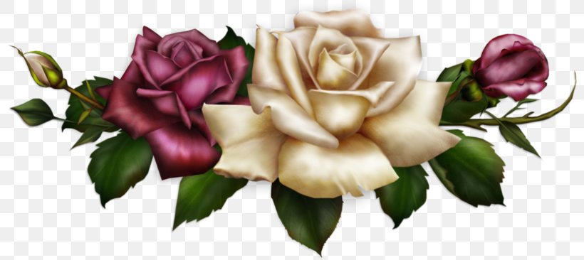 Floral Design Flower Paper Clip Art, PNG, 800x366px, Floral Design, Color, Cut Flowers, Drawing, Floristry Download Free