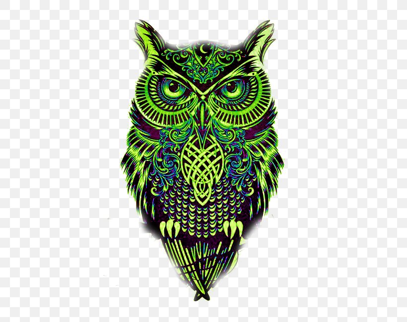 Owl Drawing Art Museum Sketch, PNG, 500x650px, Owl, Art, Art Museum, Barn Owl, Beak Download Free