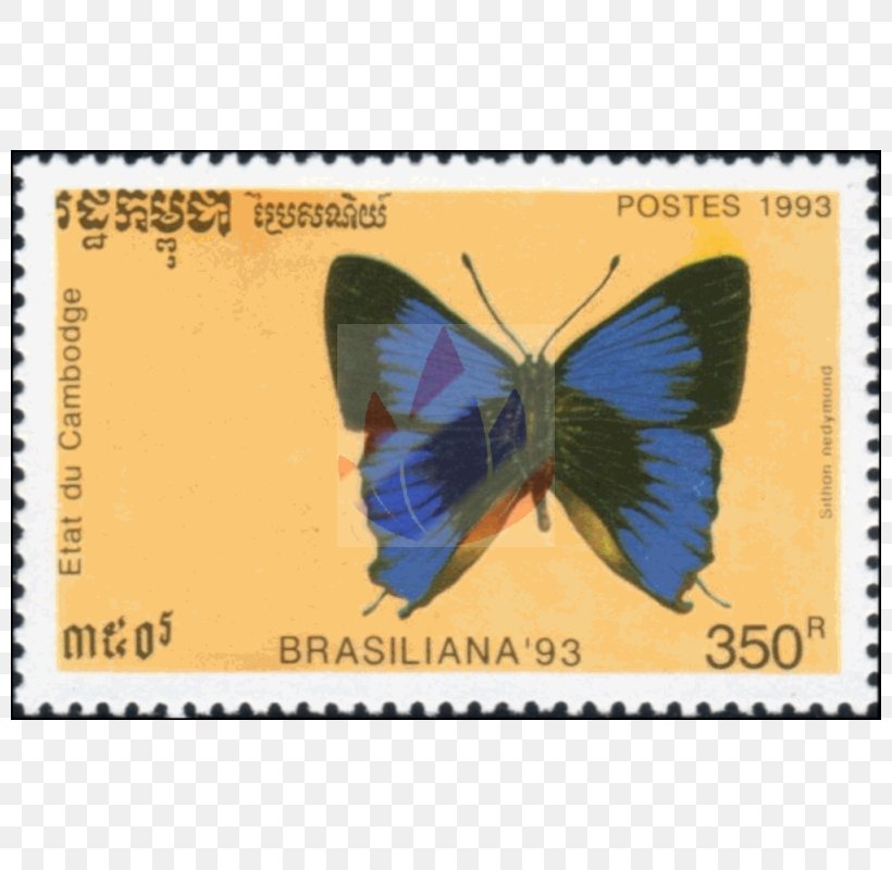 Brush-footed Butterflies Butterfly Postage Stamps Fauna Text Messaging, PNG, 800x800px, Brushfooted Butterflies, Brush Footed Butterfly, Butterfly, Fauna, Insect Download Free