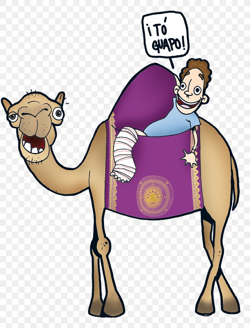 Dromedary Human Behavior Homo Sapiens Clip Art, PNG, 957x1256px, Dromedary, Arabian Camel, Behavior, Camel, Camel Like Mammal Download Free