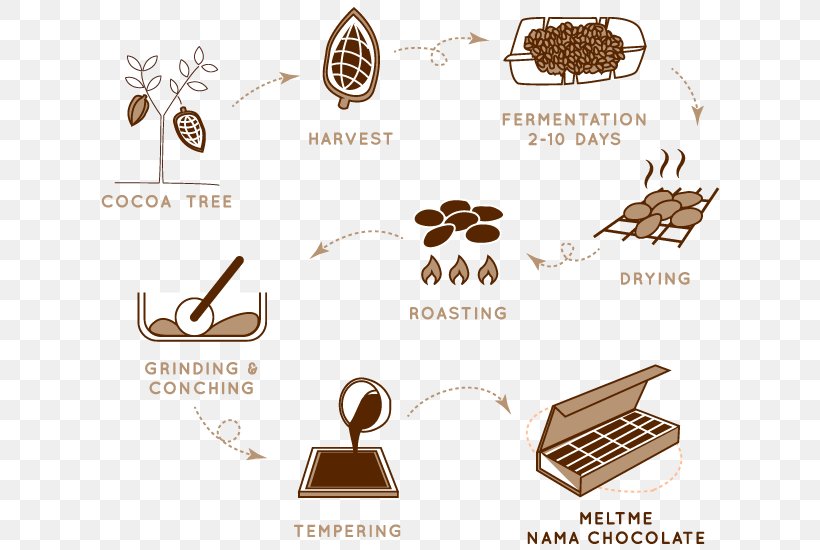 History Of Chocolate Cocoa Bean Cacao Tree Food, PNG, 630x550px, Chocolate, Animal, Brand, Cacao Tree, Chart Download Free