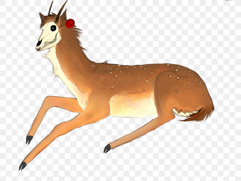 Springbok Gazelle Deer Terrestrial Animal, PNG, 1000x750px, Springbok, Animal, Animal Figure, Antelope, Chevrolet Impala Download Free