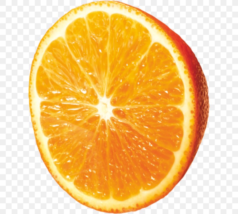 Blood Orange Mandarin Orange Tangelo Tangerine, PNG, 627x737px, Blood Orange, Bitter Orange, Citric Acid, Citrus, Clementine Download Free