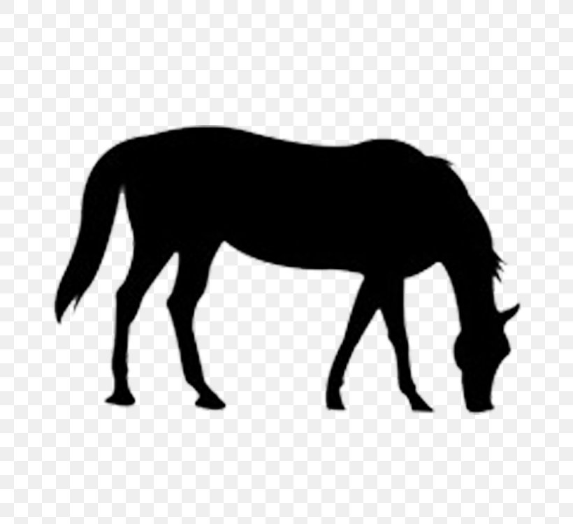 Clip Art, PNG, 750x750px, Photography, Black, Black And White, Bridle, Colt Download Free