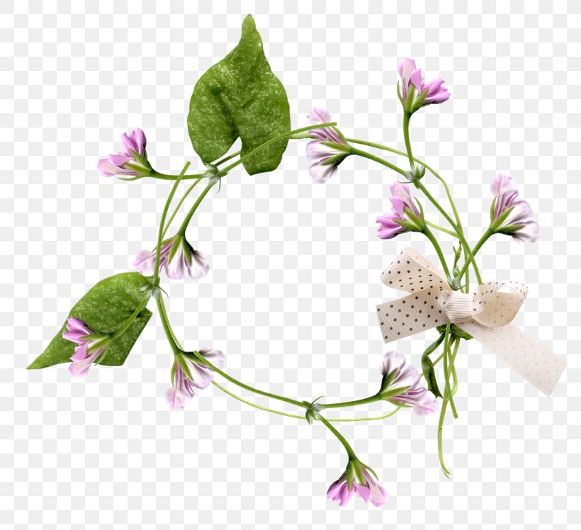 Floral Design Purple Wreath, PNG, 800x748px, Floral Design, Branch, Flora, Floristry, Flower Download Free
