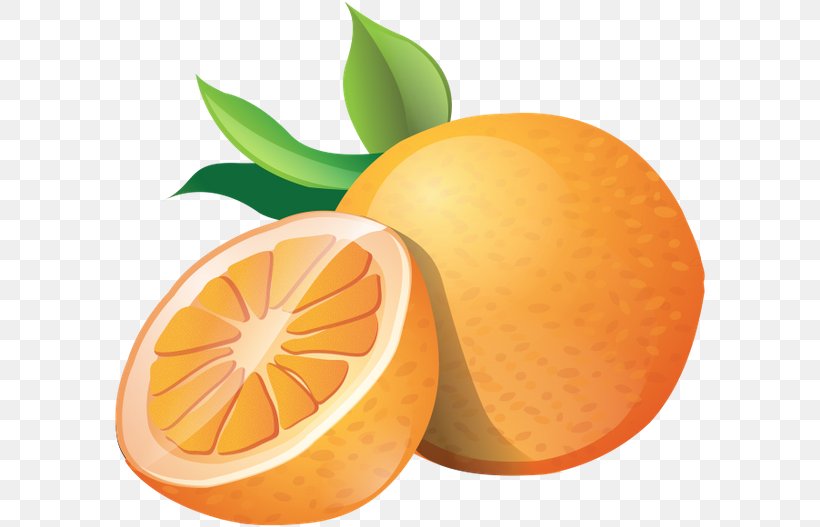 Orange Juice Clip Art, PNG, 600x527px, Orange, Bitter Orange, Chenpi, Citric Acid, Citrus Download Free