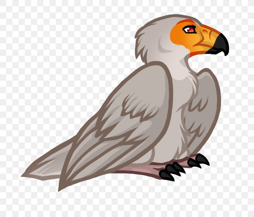 Owl Vulture Hawk Beak, PNG, 750x700px, Owl, Accipitriformes, Beak, Bird, Bird Of Prey Download Free