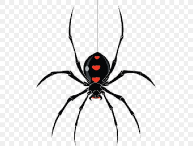 Web Crawler StormCrawler, PNG, 620x620px, Web Crawler, Arachnid, Araneus, Arthropod, Black Widow Download Free