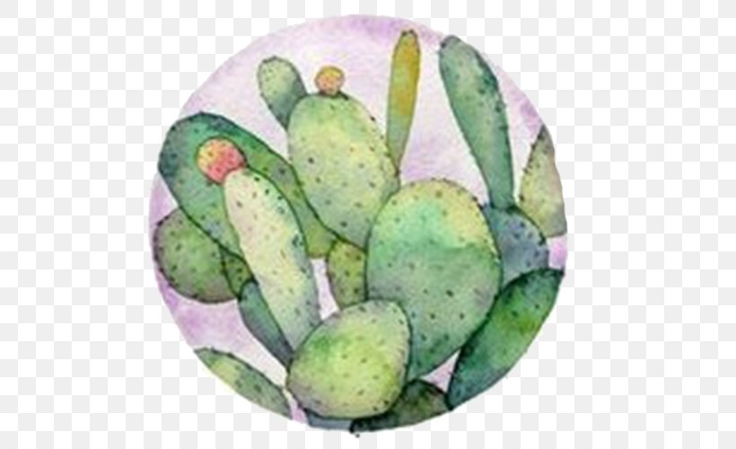 Barbary Fig Watercolor Painting Cactaceae Illustration, PNG, 612x500px, Barbary Fig, Book Illustration, Botanical Illustration, Cactaceae, Cactus Download Free