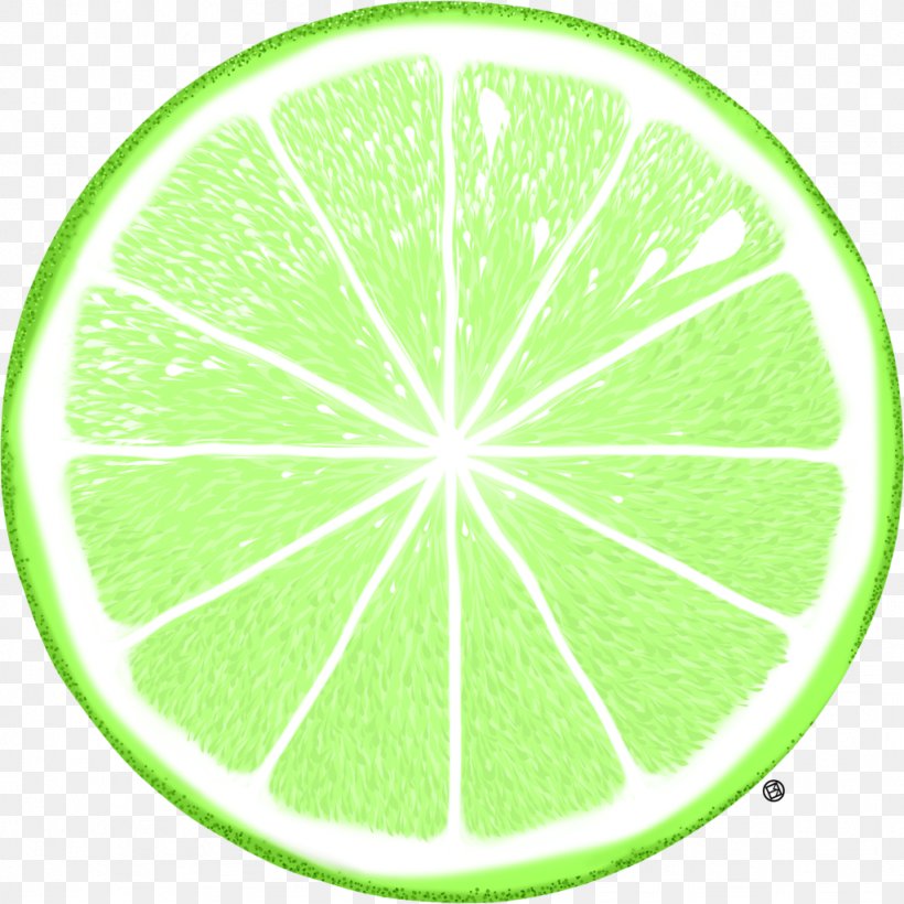 Lime Bicycle Wheels Circle Citrus, PNG, 1024x1024px, Lime, Area, Bicycle, Bicycle Part, Bicycle Wheel Download Free