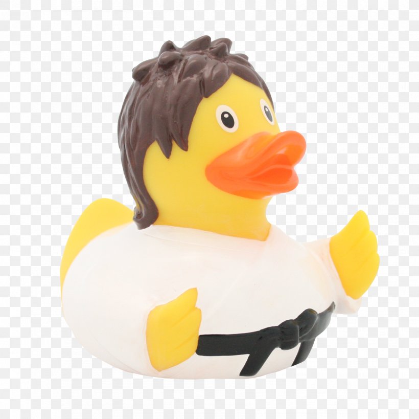 Rubber Duck Martial Arts Judo Karate, PNG, 1711x1710px, Duck, Amarillo, Beak, Belt, Bird Download Free