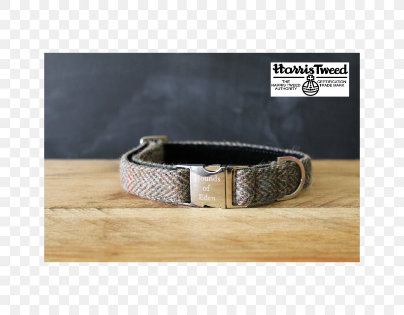Dog Collar Belt Webbing, PNG, 640x640px, Dog, Belt, Belt Buckle, Belt Buckles, Bracelet Download Free