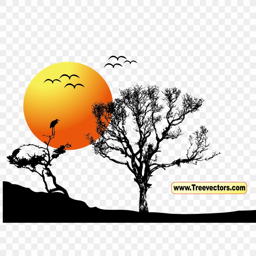 Tree Sunset Clip Art, PNG, 1772x1772px, Tree, Black And White, Branch, Orange, Scalable Vector Graphics Download Free