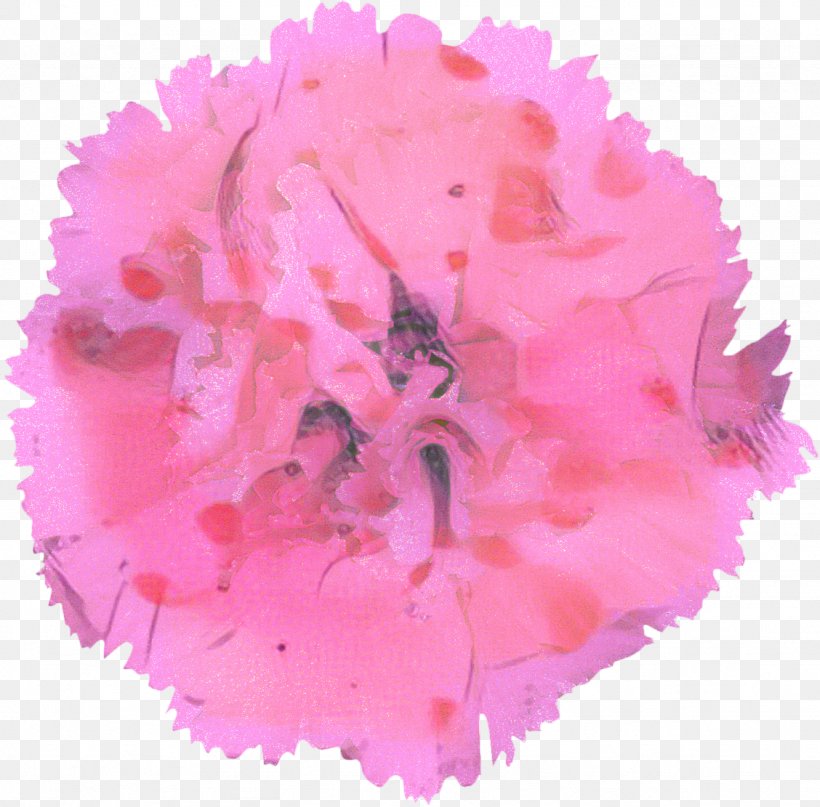 Pink Flower Cartoon, PNG, 1128x1111px, Petal, Carnation, Color, Cut Flowers, Dianthus Download Free