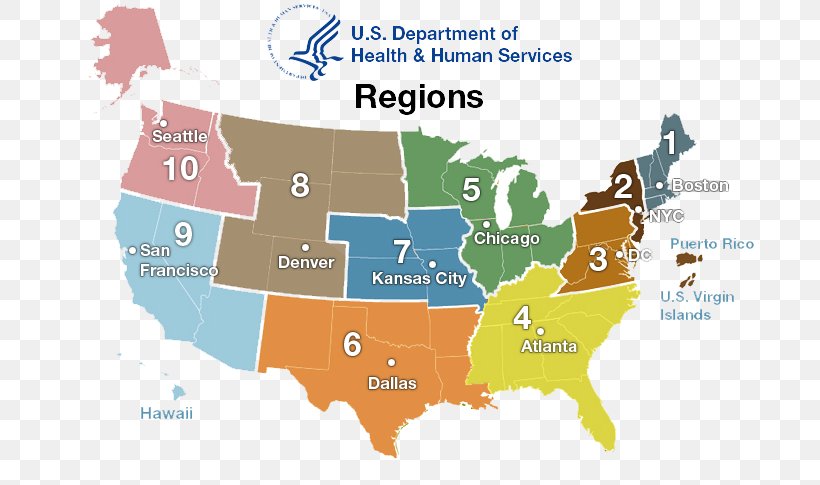 United States Of America Therapy Public Health Health Care, PNG, 704x485px, United States Of America, Area, Child Support, Health, Health Care Download Free