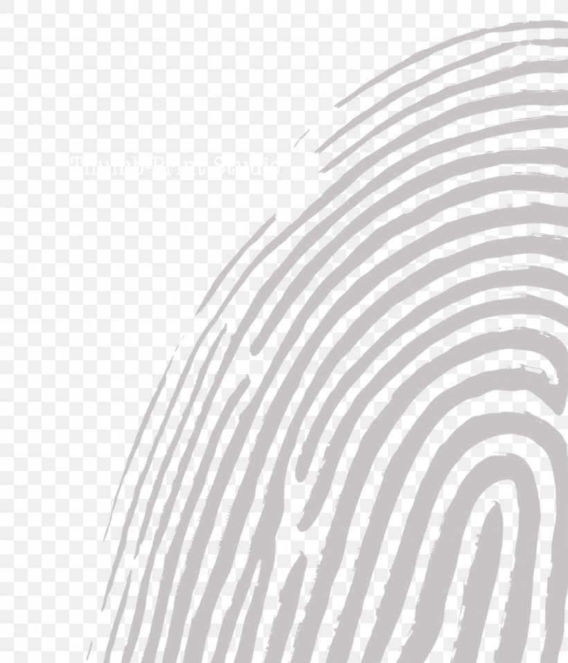 White Point Line Art, PNG, 925x1080px, White, Area, Black, Black And White, Fingerprint Download Free