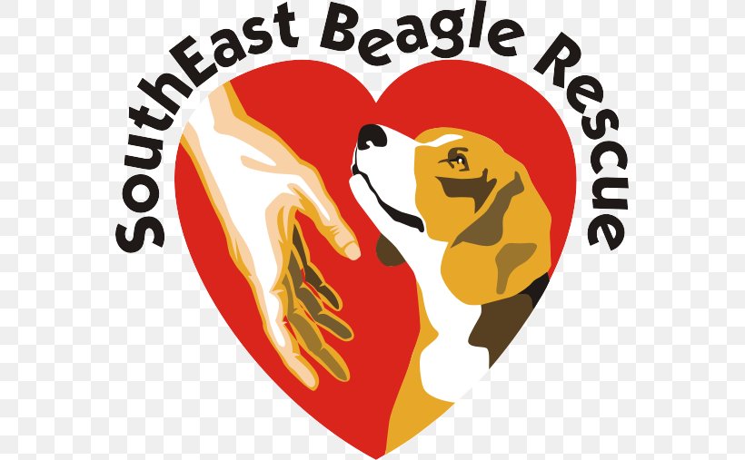 Pocket Beagle Puppy Basset Hound Dachshund, PNG, 565x507px, Watercolor, Cartoon, Flower, Frame, Heart Download Free