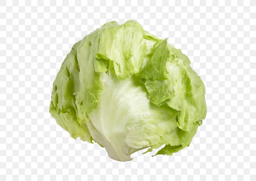 Romaine Lettuce Iceberg Lettuce Endive Leaf Vegetable, PNG, 580x580px, Romaine Lettuce, Cabbage, Capitata Group, Chicory, Cruciferous Vegetables Download Free