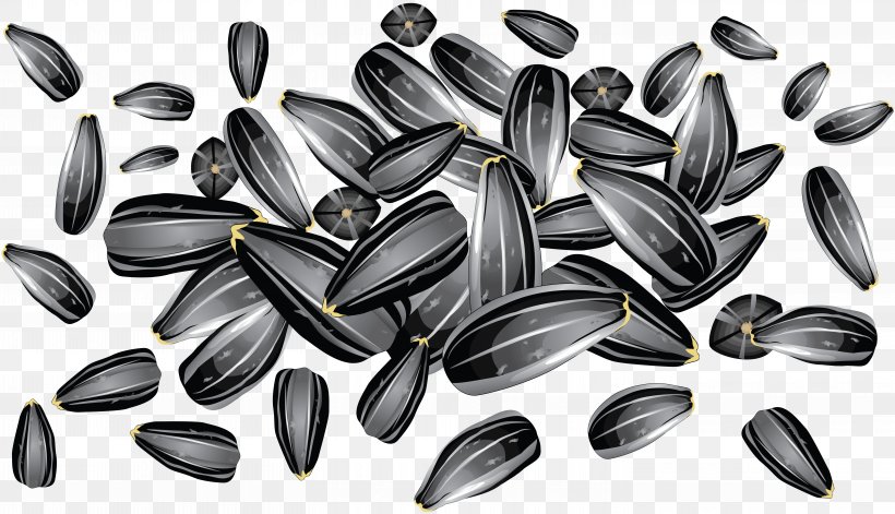 Sunflower Seed Common Sunflower Sunflower Oil, PNG, 5850x3366px, Sunflower Seed, Black And White, Common Sunflower, Drawing, Food Download Free
