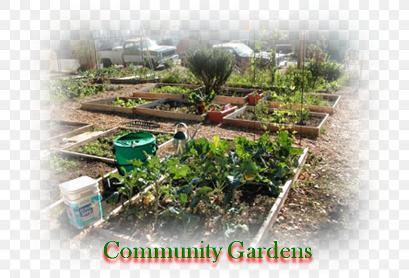 Tree Land Lot Community Gardening Houseplant, PNG, 740x557px, Tree, Community, Community Gardening, Garden, Grass Download Free