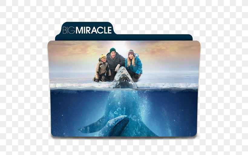 Adam Carlson Rachel Kramer Film Actor Big Miracle, PNG, 512x512px, Film, Actor, Arctic, Drama, Drew Barrymore Download Free