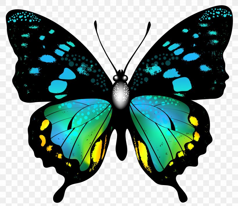 Butterfly Insect Color Clip Art, PNG, 7394x6401px, Butterfly, Arthropod, Brush Footed Butterfly, Butterflies And Moths, Color Download Free
