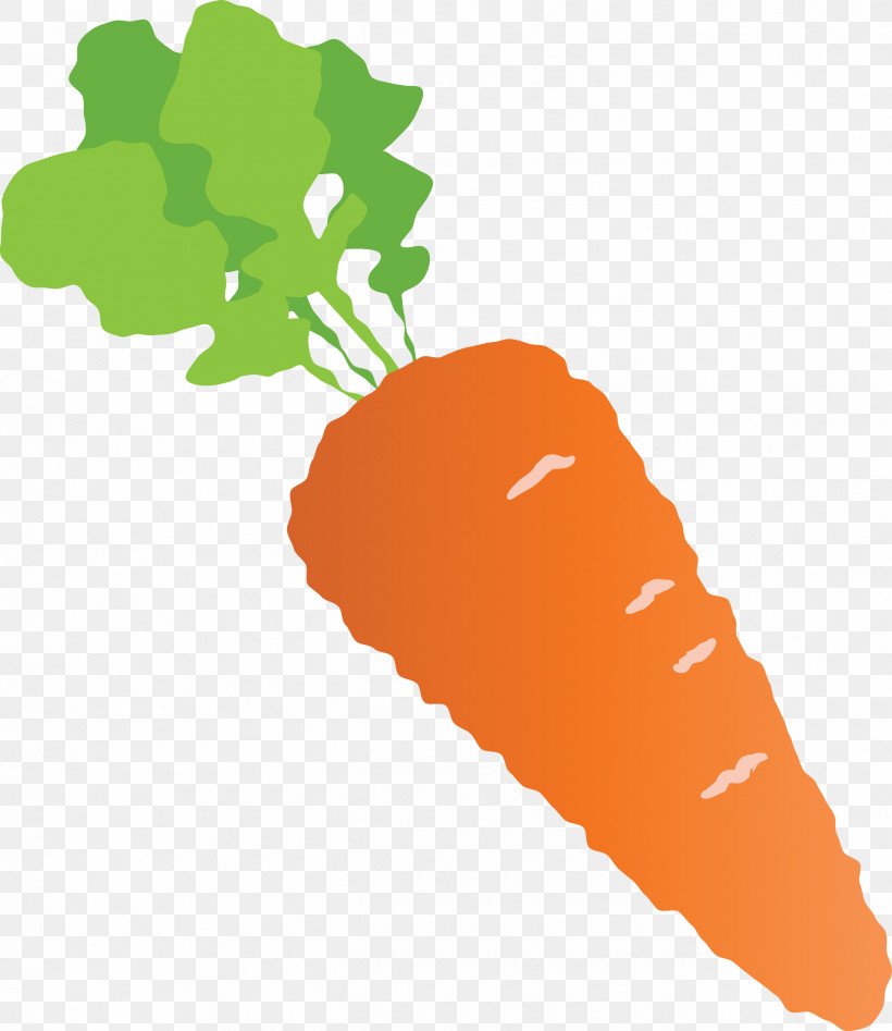 Carrot, PNG, 2595x3000px, Carrot, Fruit, Geometry, Line, Mathematics Download Free