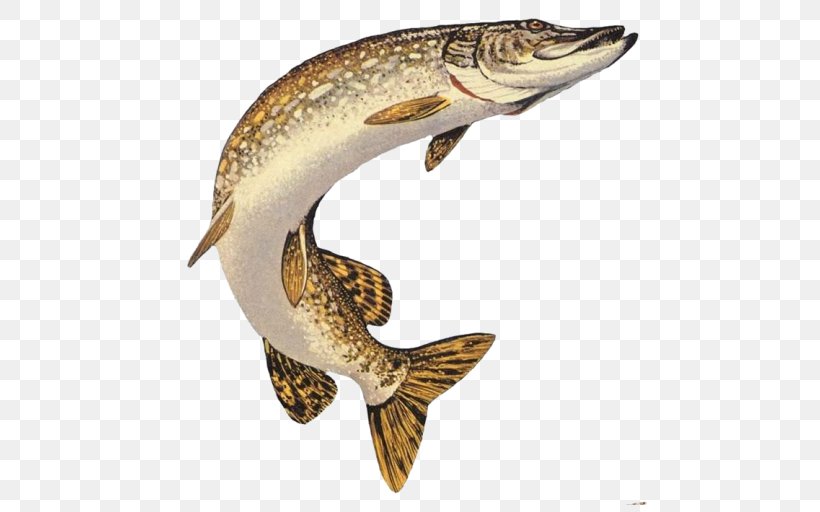 Northern Pike Muskellunge Chain Pickerel American Pickerel Fishing, PNG, 512x512px, Northern Pike, American Pickerel, Amur Pike, Angling, Bait Download Free