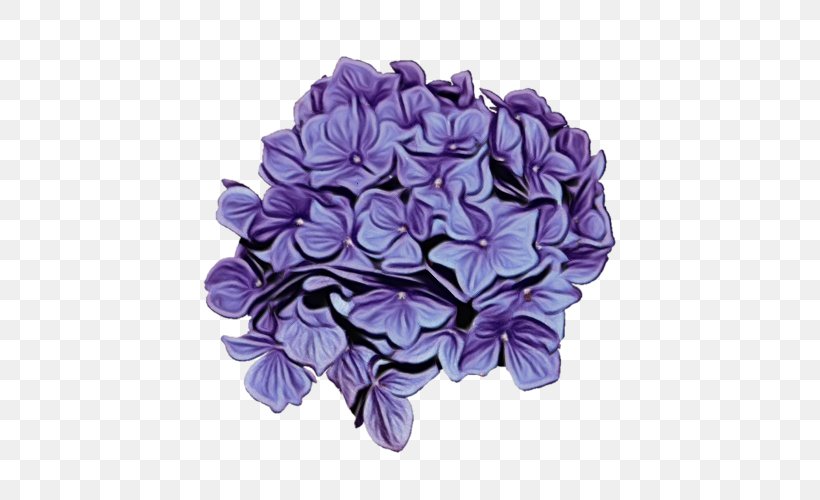 Purple Watercolor Flower, PNG, 500x500px, Watercolor, Cornales, Cut Flowers, Flower, Hydrangea Download Free