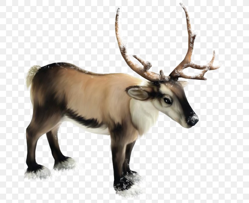 Reindeer Clip Art Santa Claus, PNG, 670x671px, Reindeer, Animal, Antler, Christmas Day, Deer Download Free