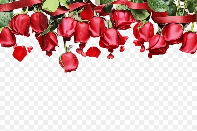 Rose, PNG, 2448x1632px, Watercolor, Bud, Cut Flowers, Flower, Flowering Plant Download Free