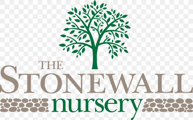 The Stonewall Nursery Logo Tree, PNG, 1200x748px, Logo, Area, Branch, Brand, Fairfield Download Free