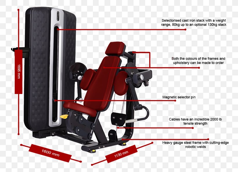 Biceps Curl Strength Training Exercise Machine Weight Training, PNG, 800x593px, Biceps Curl, Biceps, Bodybuilding, Camera Accessory, Elliptical Trainers Download Free