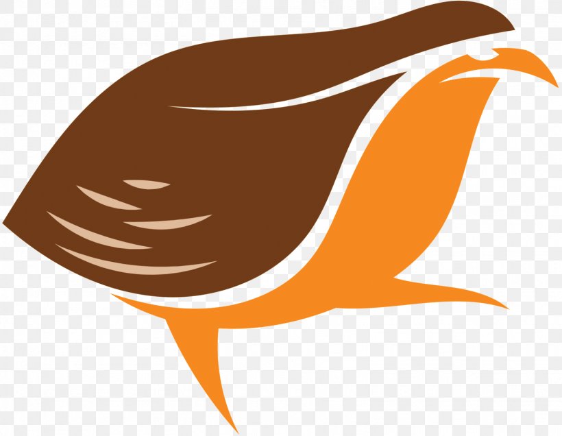 Clip Art Beak Fish Logo Fauna, PNG, 1561x1212px, Beak, Bird, Fauna, Fish, Landfowl Download Free